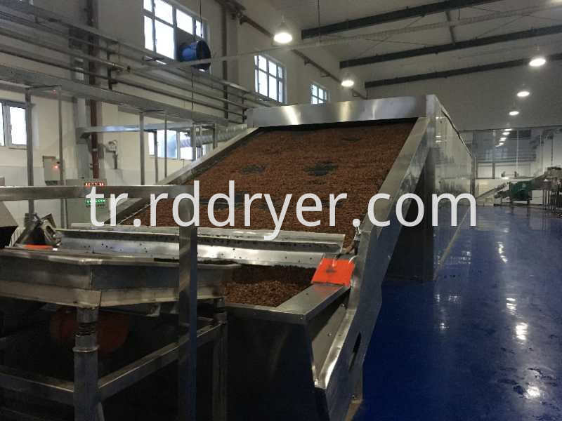 raisins drying machine